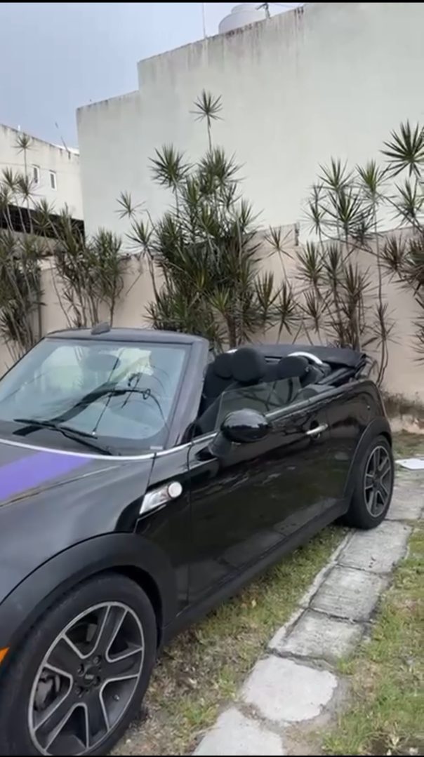2010 Mini Cooper S foto