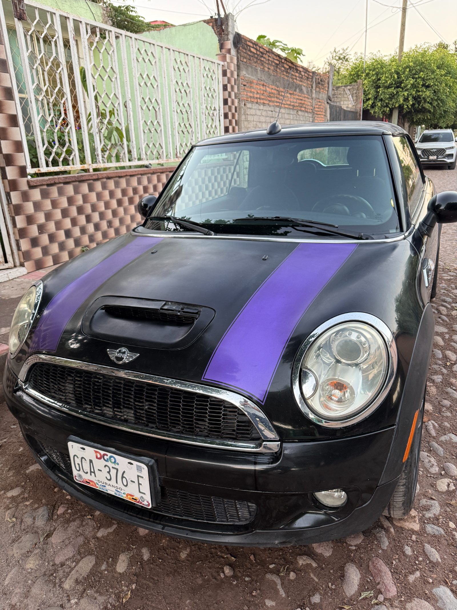 2010 Mini Cooper S foto