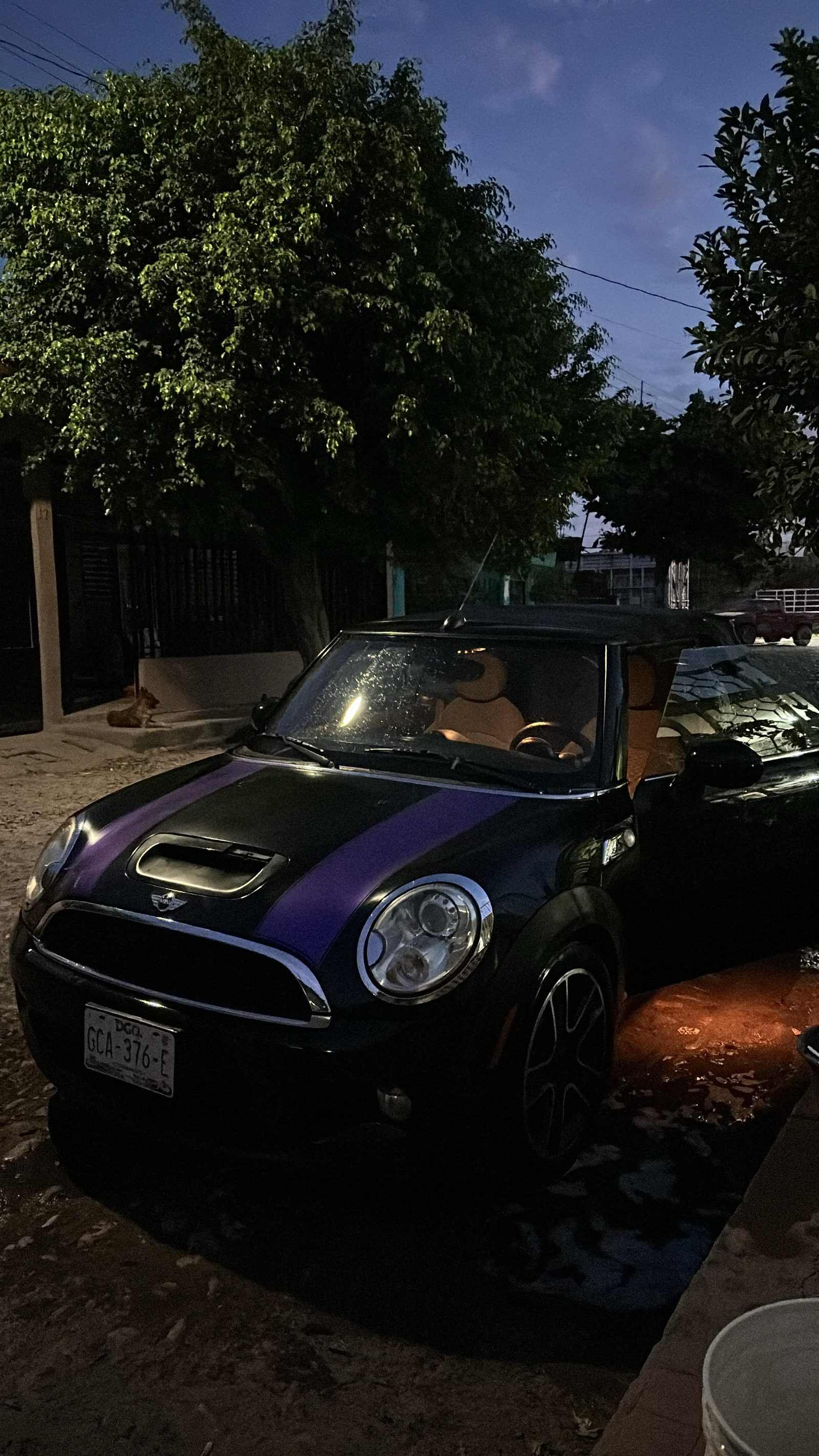 2010 Mini Cooper S foto