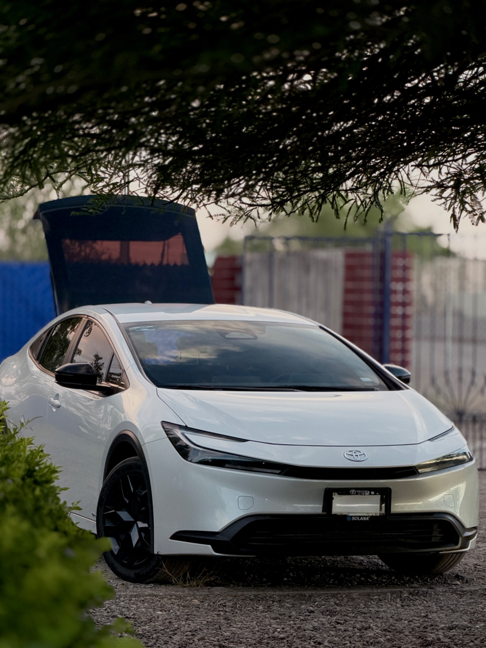 2023 Toyota Prius foto