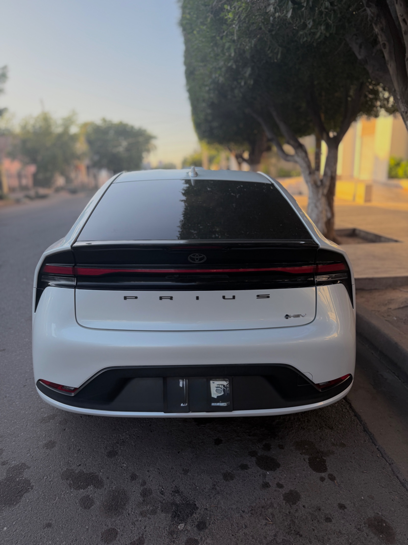 2023 Toyota Prius foto