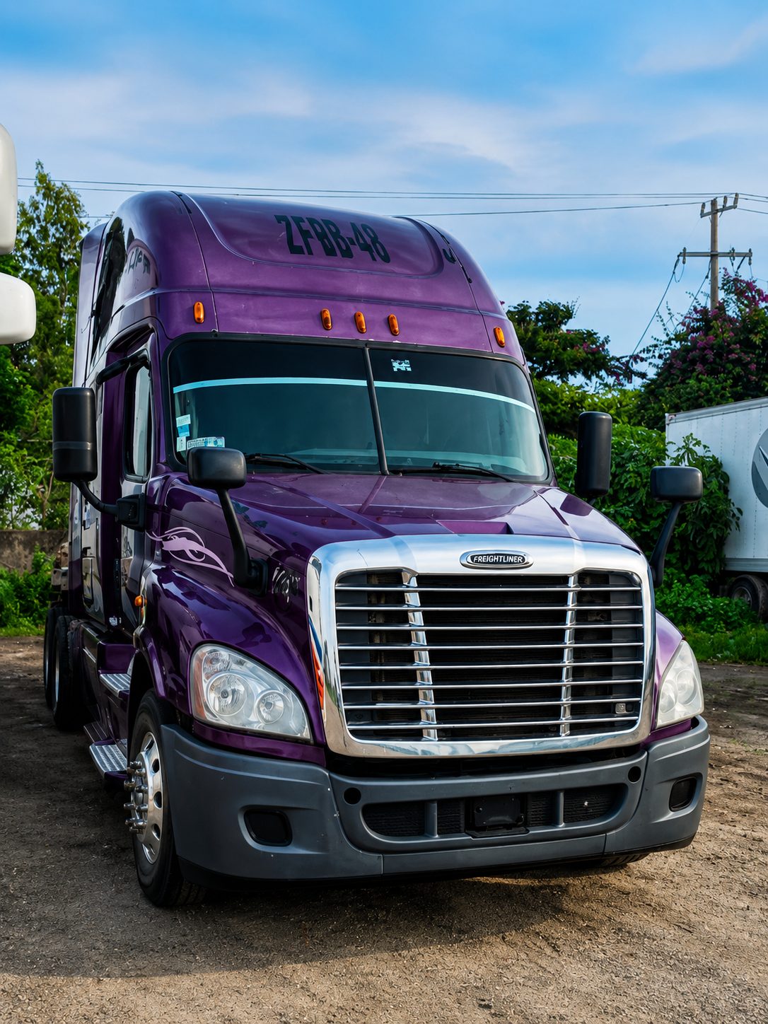 2015 freightliner cascadia foto