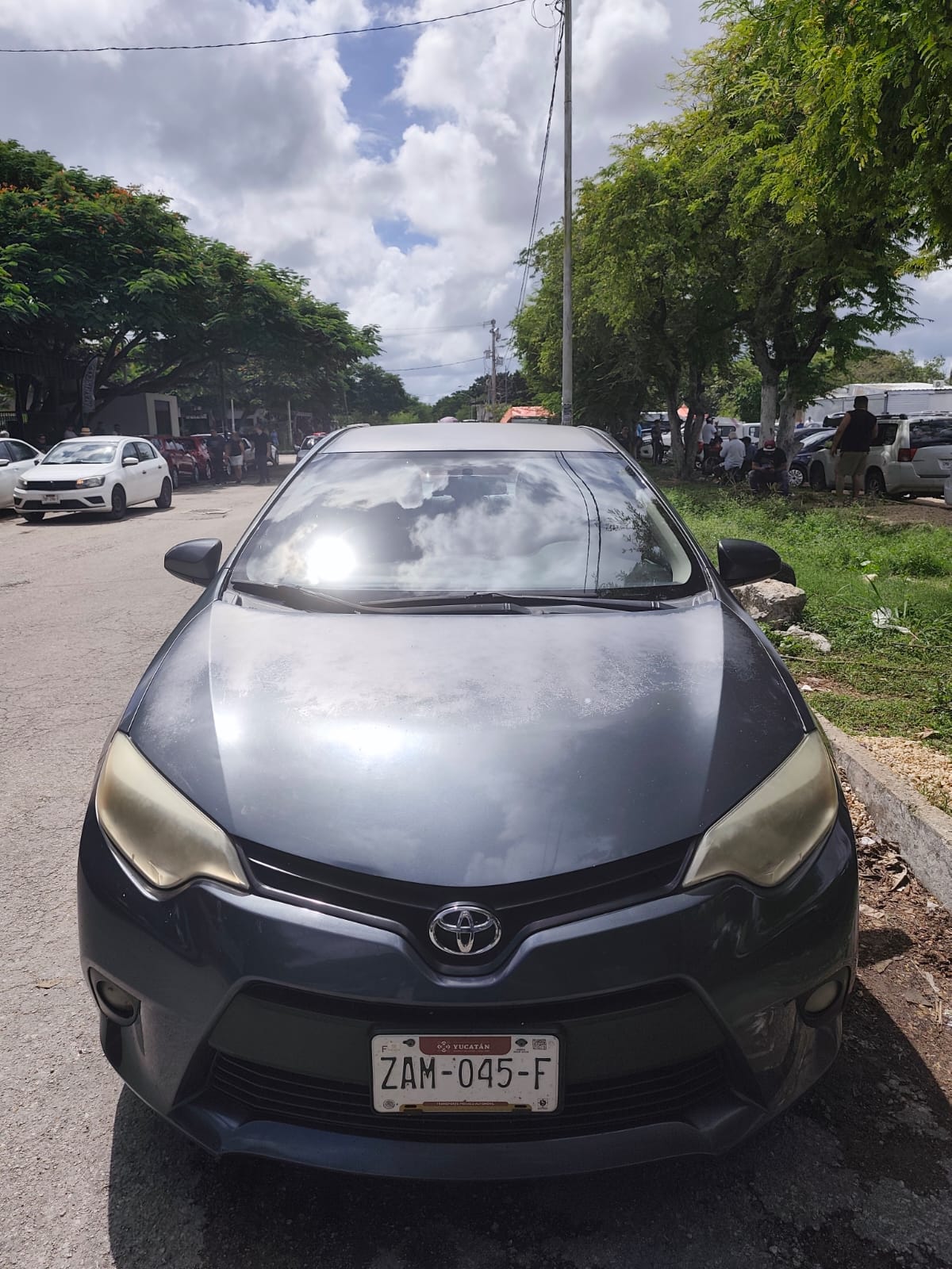 2014 toyota corolla foto