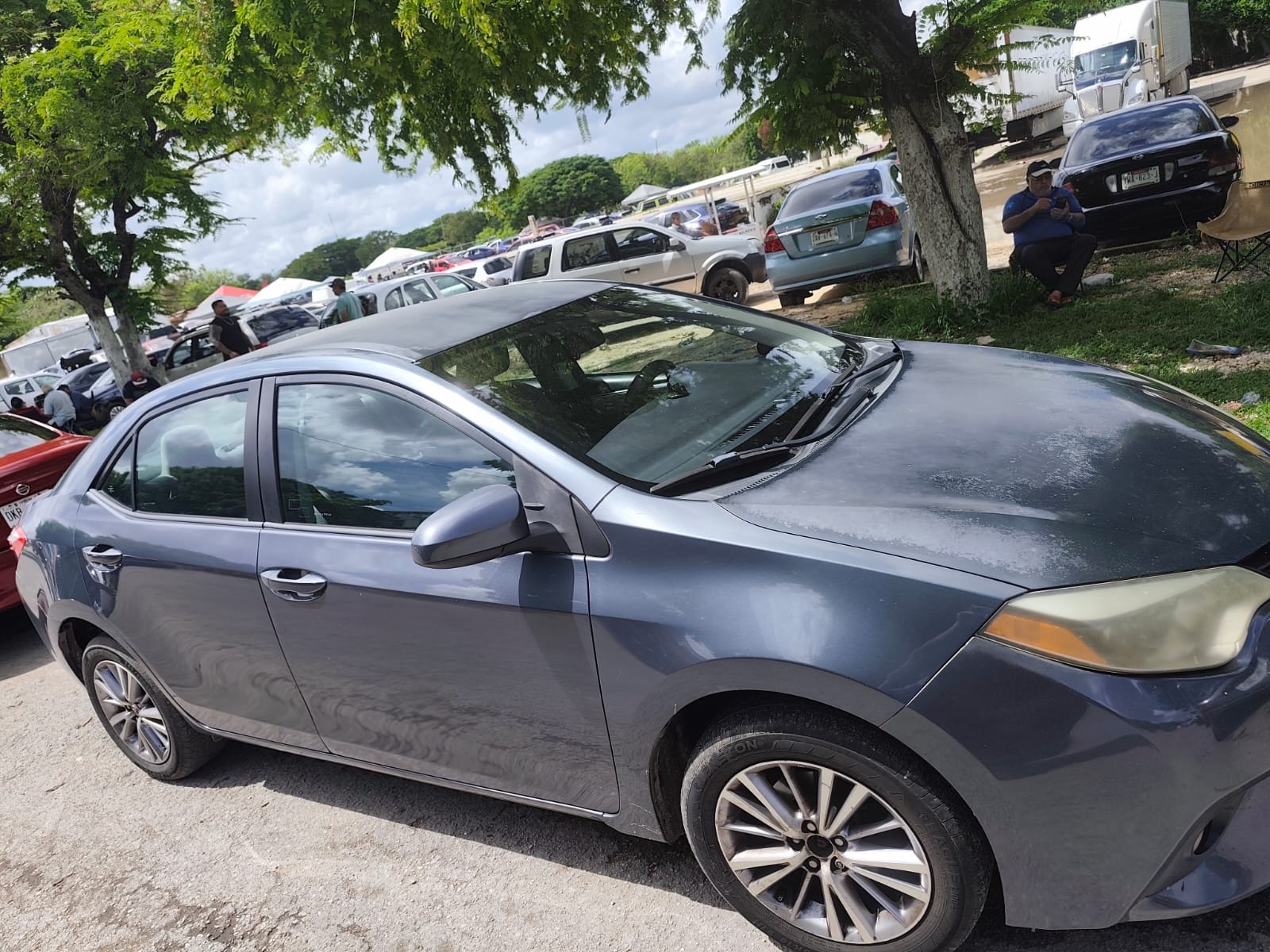 2014 toyota corolla foto